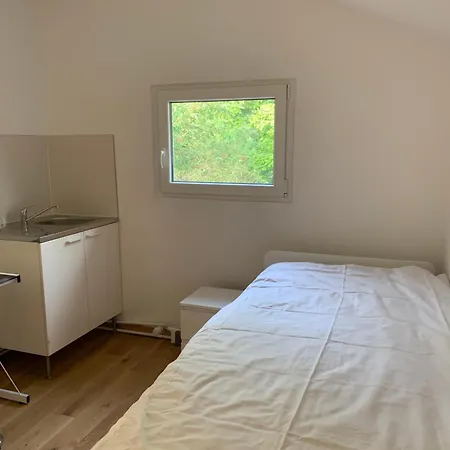 In The Near The Airport, Share Bathroom And Share Kitchen