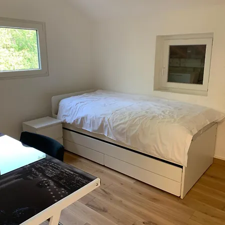 In The Near The Airport, Share Bathroom And Share Kitchen Le Grand Saconnex